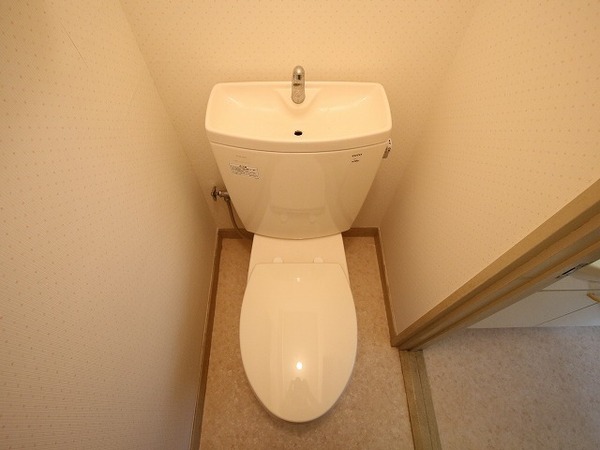 �y�g�C���z�@