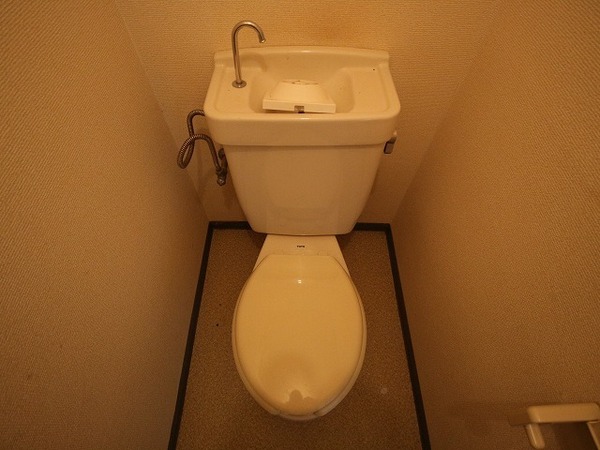 �y�g�C���z�@