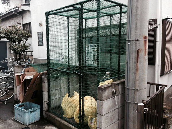 �y���̑����L�����z�@