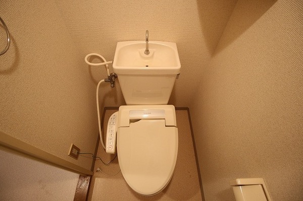 �y�g�C���z�@