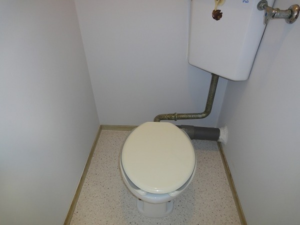 �y�g�C���z�@