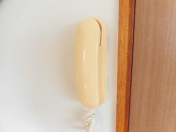 �y���̑��z�@