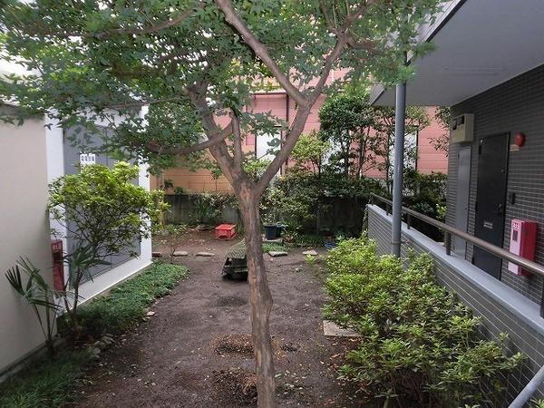 �y���]�z�@