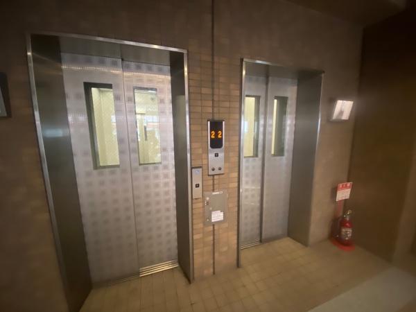 �y���̑����L�����z�@