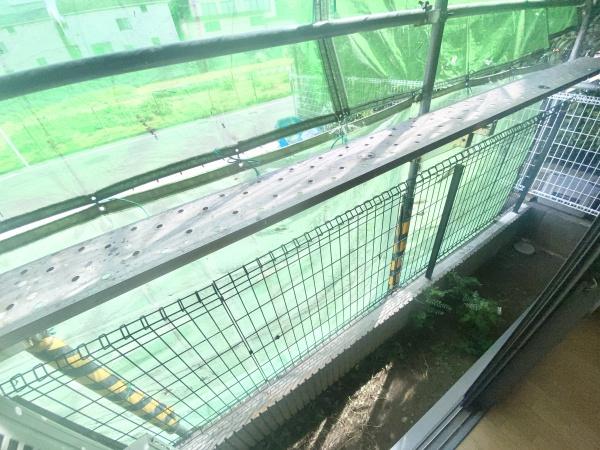 �y�o���R�j�[�z�@