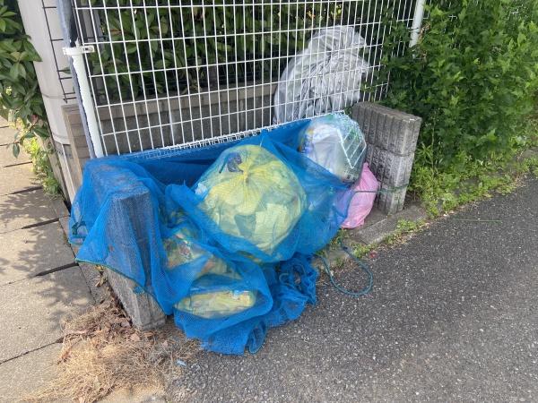 �y���̑����L�����z�@