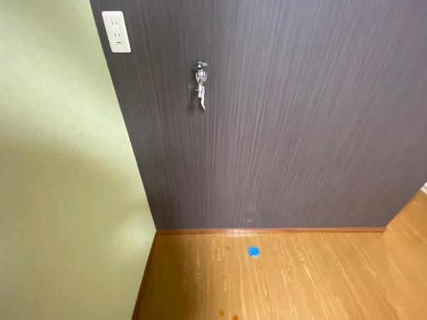 �y���̑��z�@