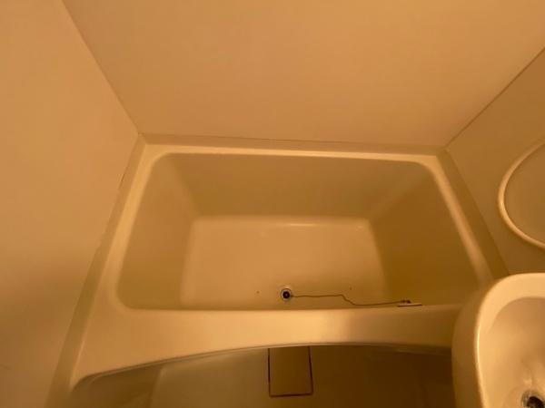 �y�o�X�z�@