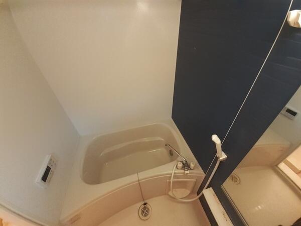 �y�o�X�z�@