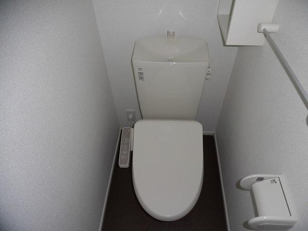 �y�g�C���z�@