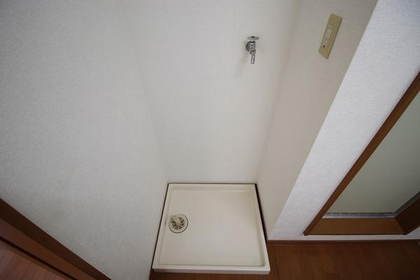 �y���̑��ݔ��z�@�y�J�T�u�����J�Q�z��������@�u��ł�