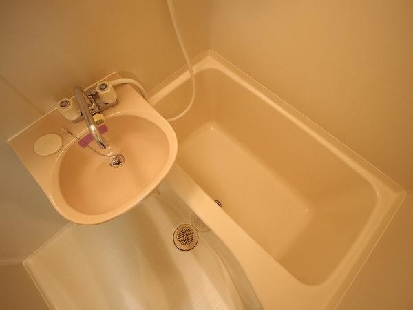 �y�o�X�z�@