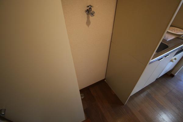 �y���̑��ݔ��z�@�y�X�p�[�N���n�C�c�z