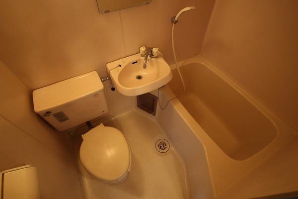 �y�o�X�z�@�y�X�p�[�N���n�C�c�z