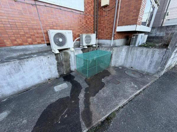 �y���̑����L�����z�@