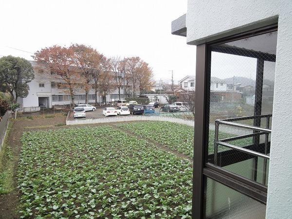 �y���]�z�@