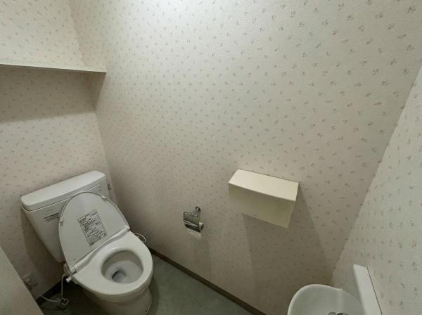 �y�g�C���z�@