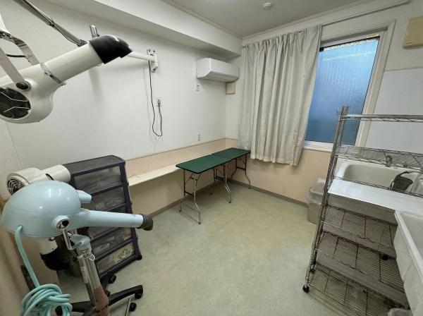 �y���̑��z�@