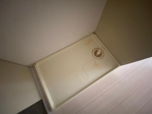 �y���ʏ��z�@���勴