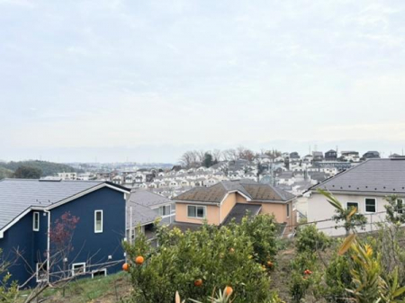 �Z�˂���̒��]�ʐ^�@-