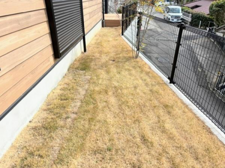 ���̑����n�@-