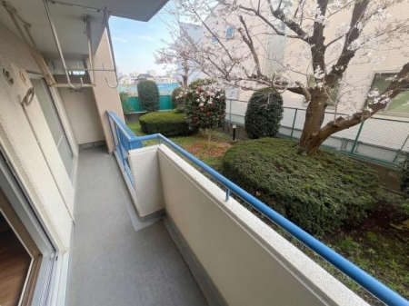 �o���R�j�[�@-