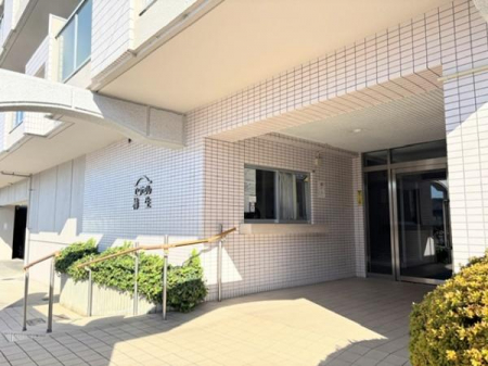 �G���g�����X�@-