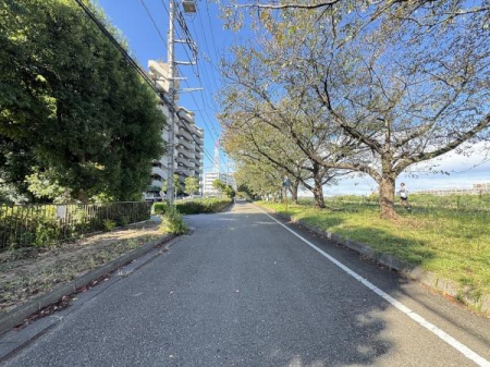 ���̑����n�@-