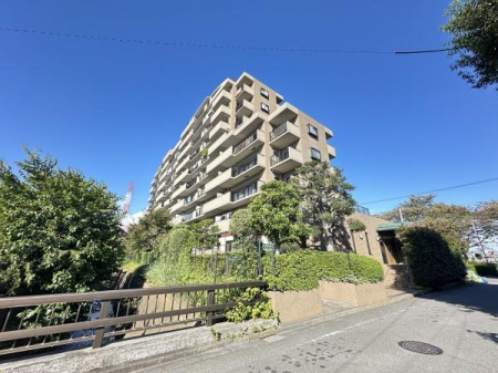 ���̑����n�@-