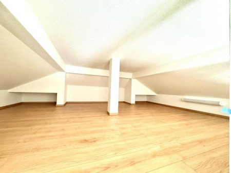 ���̑����ρ@-