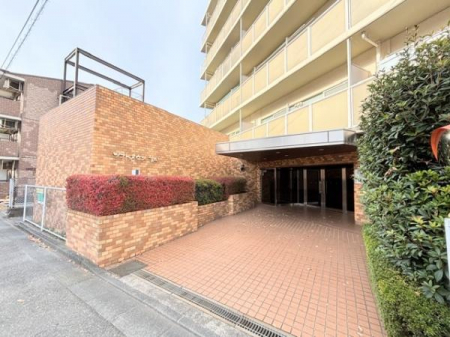 �G���g�����X�@-