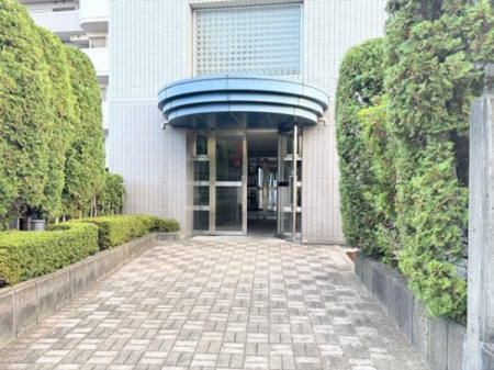 �G���g�����X�@-