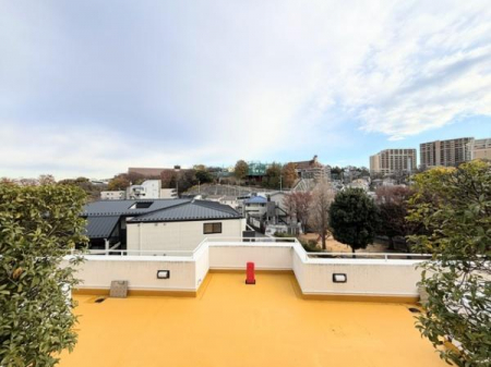 �Z�˂���̒��]�ʐ^�@-