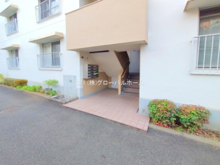 �G���g�����X�@-