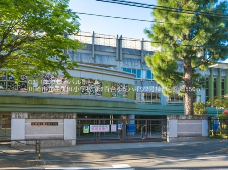 ���ӊ��@-