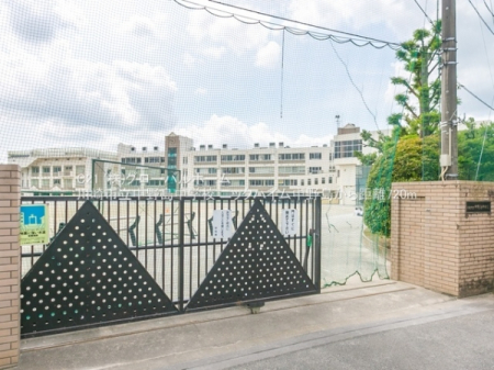 ���ӊ��@-