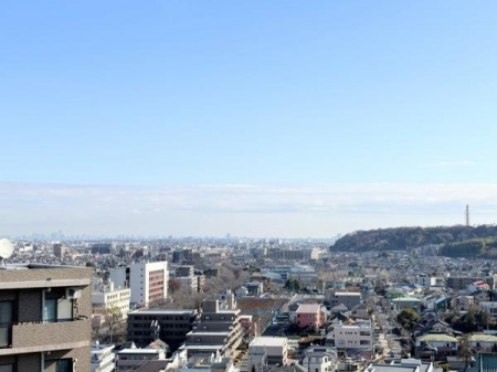 �Z�˂���̒��]�ʐ^�@-