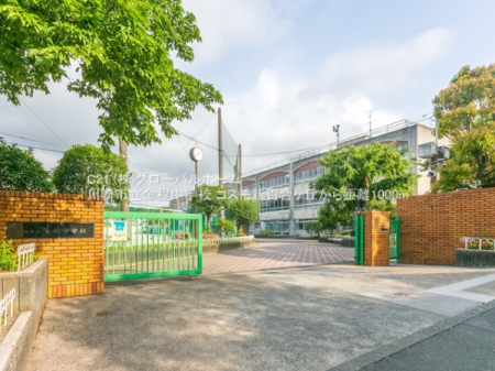 ���ӊ��@-