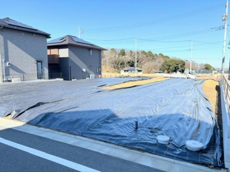 ���n�y�n�ʐ^�@-