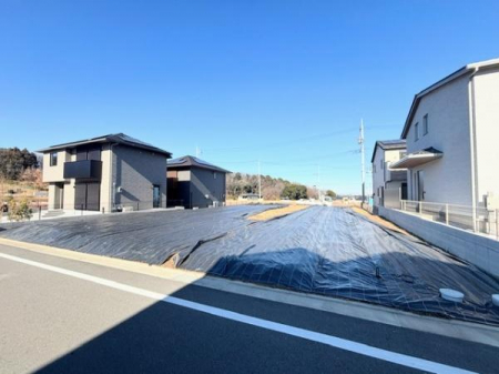 ���n�y�n�ʐ^�@-