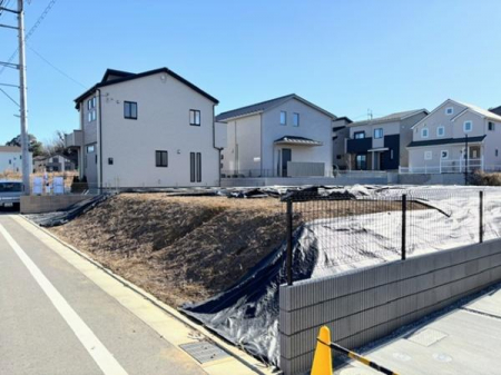 ���n�y�n�ʐ^�@-