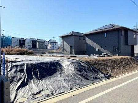 ���n�y�n�ʐ^�@-