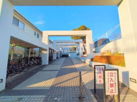 �G���g�����X�@-