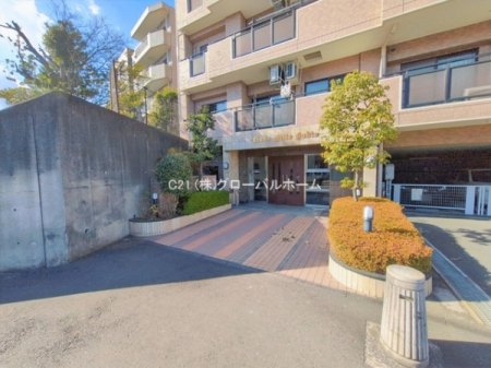 �G���g�����X�@-