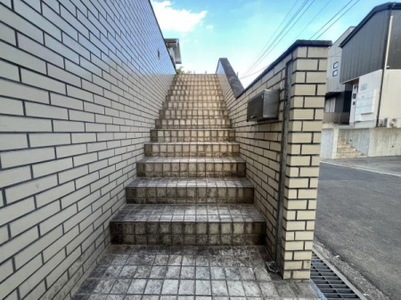 ���n�y�n�ʐ^�@-