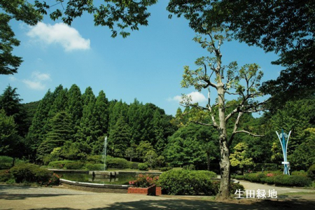 ���ӊ��@-