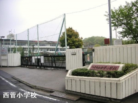 ���ӊ��@-