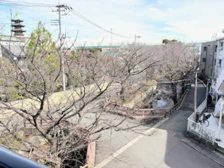 �Z�˂���̒��]�ʐ^�@-