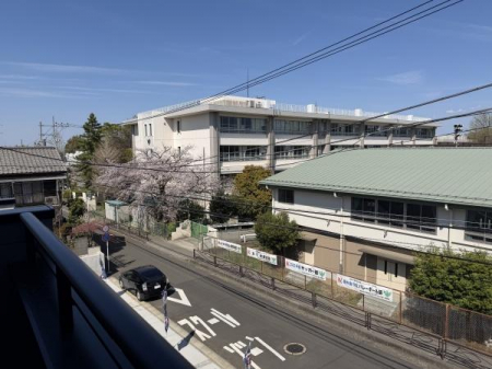 �Z�˂���̒��]�ʐ^�@-