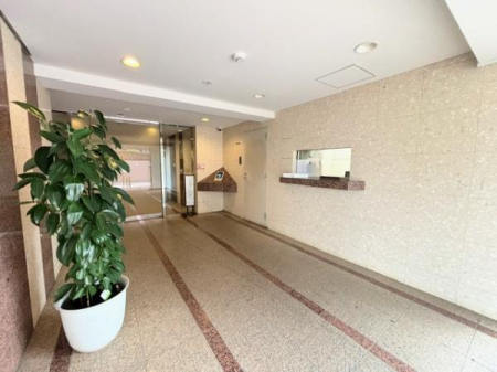 �G���g�����X�@-